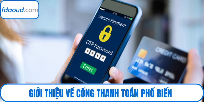 Giới thiệu về cổng thanh toán phổ biến