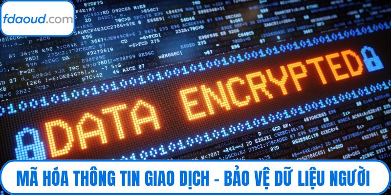 Mã Hóa Thông Tin Giao Dịch – Bảo Vệ Dữ Liệu Người Dùng