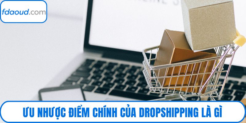 Ưu nhược điểm chính của dropshipping là gì